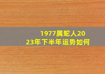 1977属蛇人2023年下半年运势如何