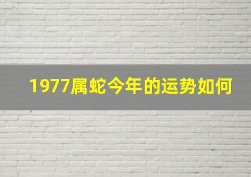 1977属蛇今年的运势如何