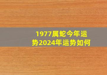 1977属蛇今年运势2024年运势如何