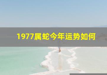 1977属蛇今年运势如何