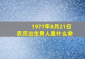 1977年8月21日农历出生男人是什么命