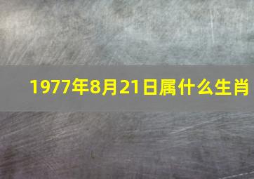 1977年8月21日属什么生肖