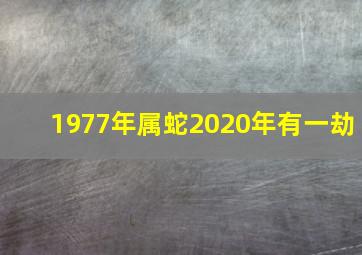 1977年属蛇2020年有一劫