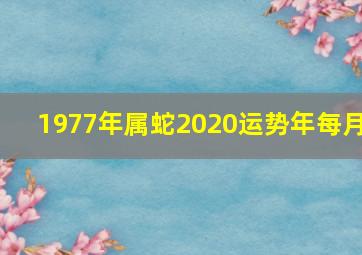 1977年属蛇2020运势年每月