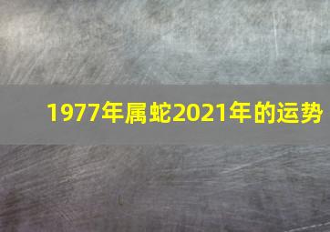 1977年属蛇2021年的运势