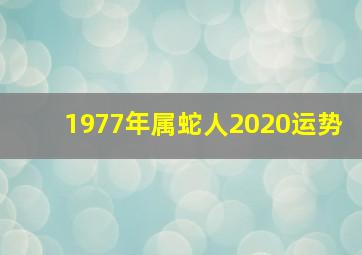 1977年属蛇人2020运势