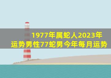 1977年属蛇人2023年运势男性77蛇男今年每月运势