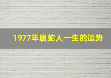 1977年属蛇人一生的运势