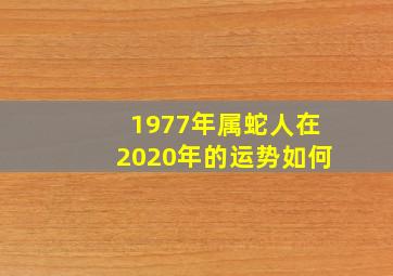 1977年属蛇人在2020年的运势如何