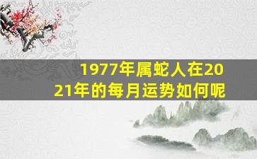 1977年属蛇人在2021年的每月运势如何呢