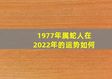 1977年属蛇人在2022年的运势如何