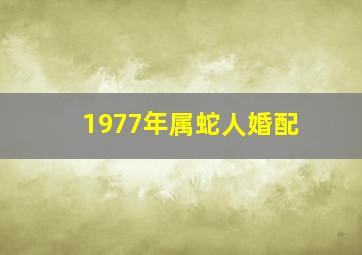 1977年属蛇人婚配