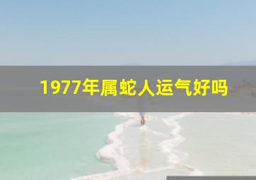 1977年属蛇人运气好吗