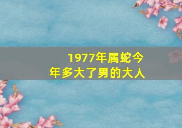 1977年属蛇今年多大了男的大人