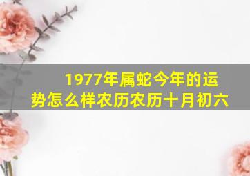 1977年属蛇今年的运势怎么样农历农历十月初六