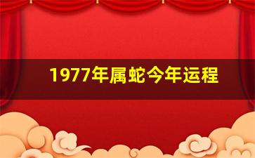 1977年属蛇今年运程