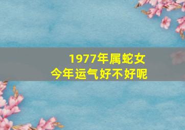 1977年属蛇女今年运气好不好呢