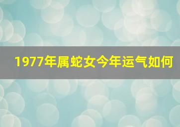 1977年属蛇女今年运气如何