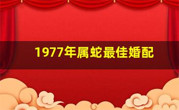 1977年属蛇最佳婚配