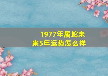 1977年属蛇未来5年运势怎么样