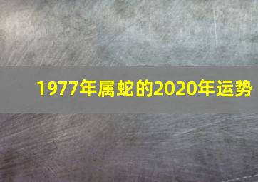 1977年属蛇的2020年运势