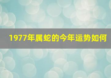 1977年属蛇的今年运势如何