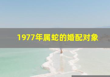 1977年属蛇的婚配对象