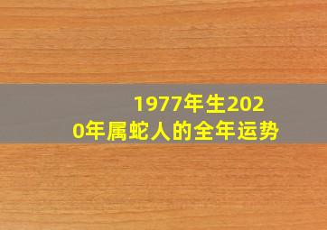 1977年生2020年属蛇人的全年运势