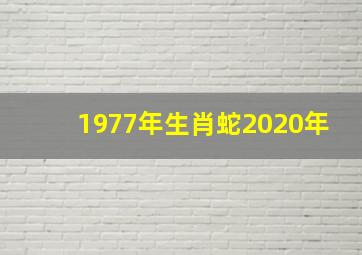 1977年生肖蛇2020年