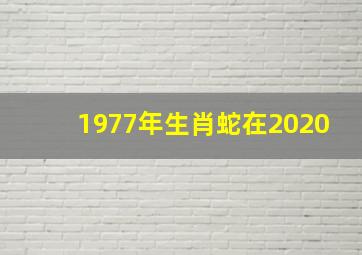 1977年生肖蛇在2020