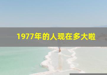 1977年的人现在多大啦