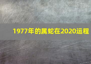 1977年的属蛇在2020运程