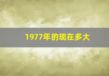 1977年的现在多大