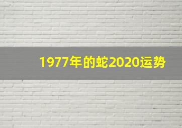 1977年的蛇2020运势