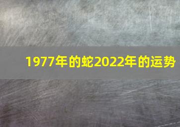 1977年的蛇2022年的运势