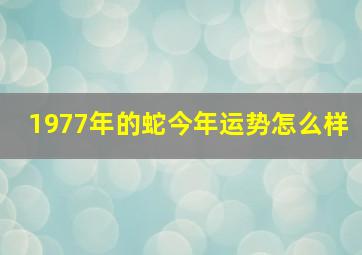 1977年的蛇今年运势怎么样