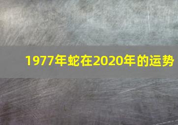 1977年蛇在2020年的运势