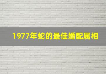 1977年蛇的最佳婚配属相