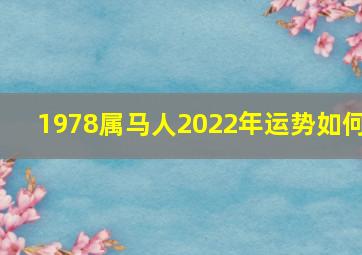 1978属马人2022年运势如何