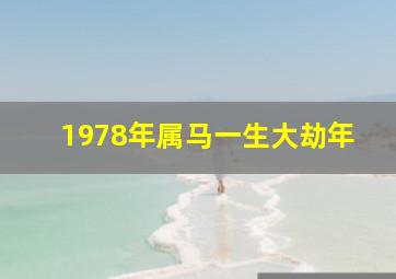 1978年属马一生大劫年