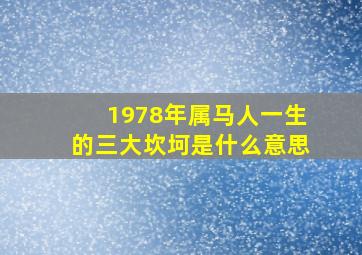 1978年属马人一生的三大坎坷是什么意思