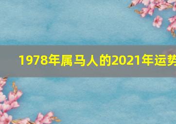 1978年属马人的2021年运势