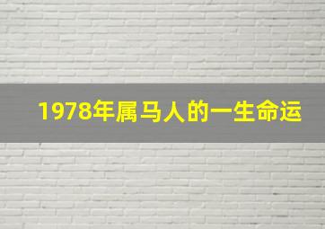 1978年属马人的一生命运