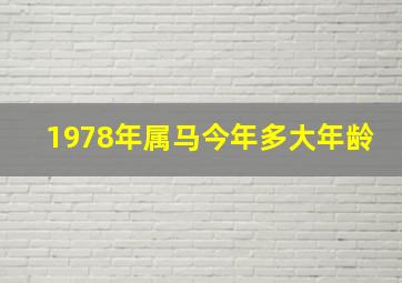 1978年属马今年多大年龄