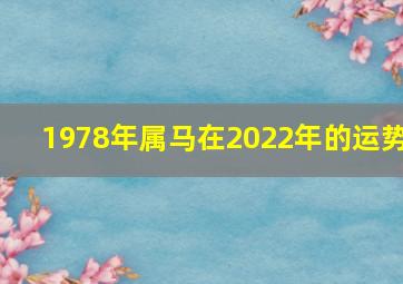 1978年属马在2022年的运势