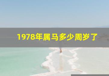 1978年属马多少周岁了