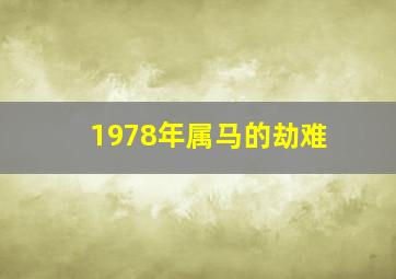 1978年属马的劫难