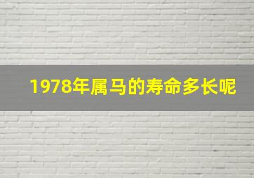 1978年属马的寿命多长呢