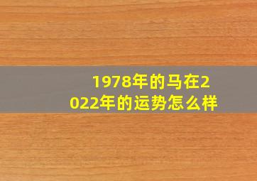 1978年的马在2022年的运势怎么样