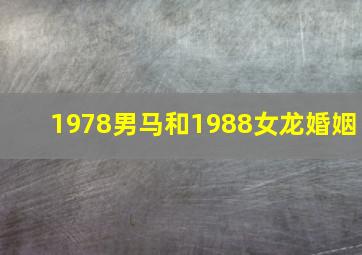 1978男马和1988女龙婚姻